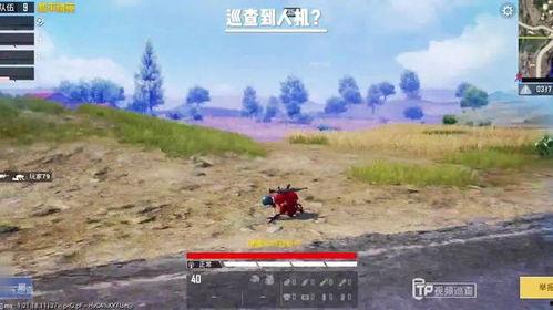 猎鹰巡查最新爆料,独家爆料揭示惊天秘密 第3张 猎鹰巡查最新爆料,独家爆料揭示惊天秘密 第3张