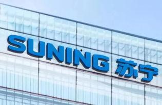 苏宁家乐福最新爆料信息,揭秘全新战略布局与未来市场动向 第3张 苏宁家乐福最新爆料信息,揭秘全新战略布局与未来市场动向 第3张